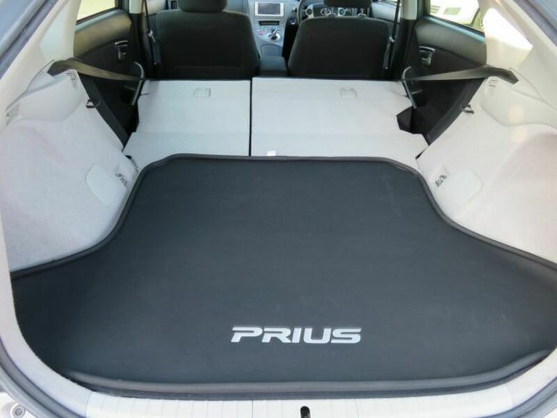 PRIUS-21