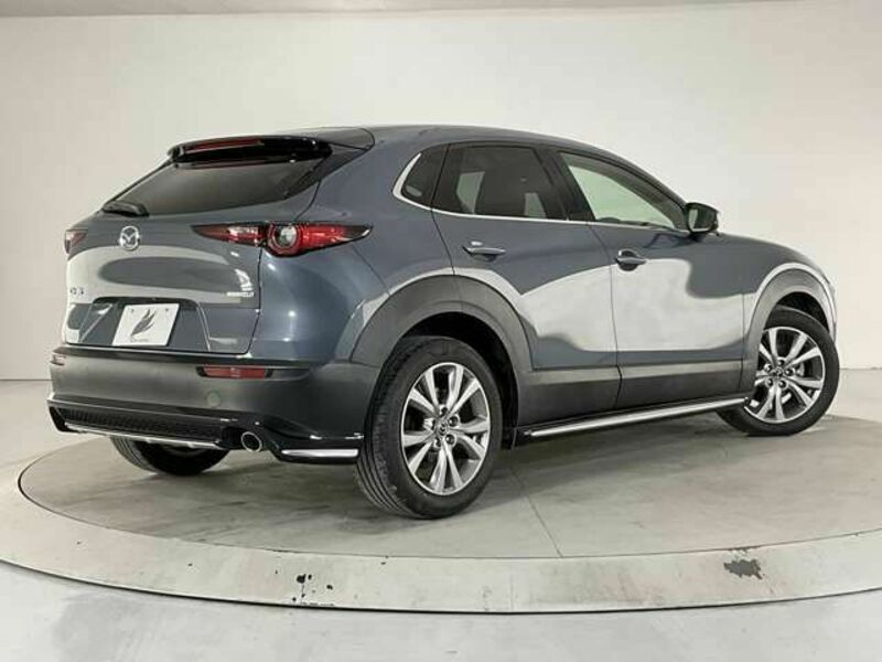 CX-30-1
