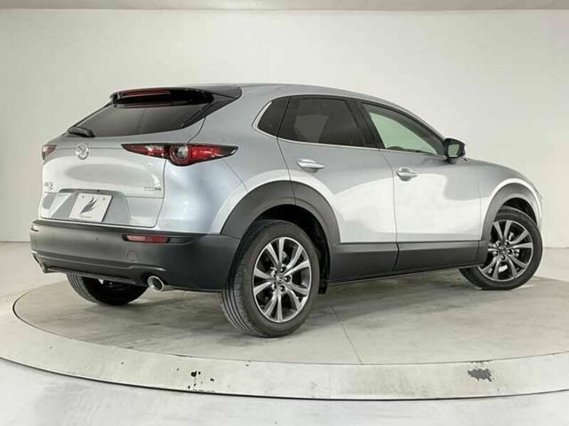 CX-30-1