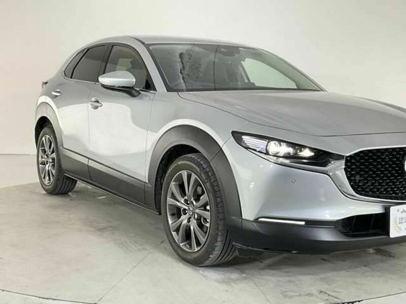 CX-30-4
