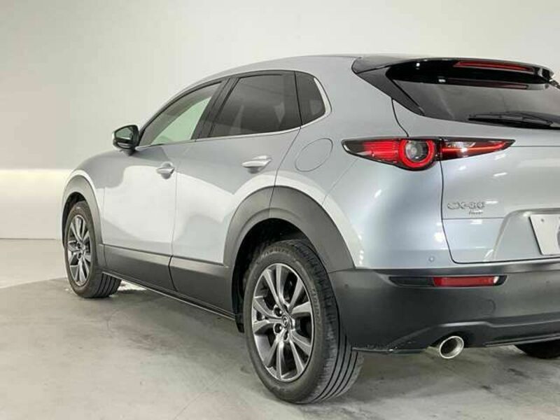 CX-30-6