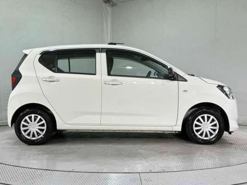PLEO PLUS-3