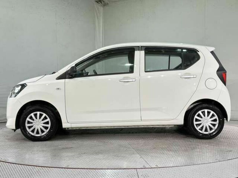 PLEO PLUS-7