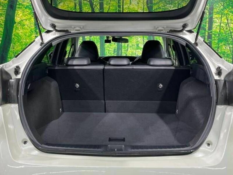 PRIUS-9