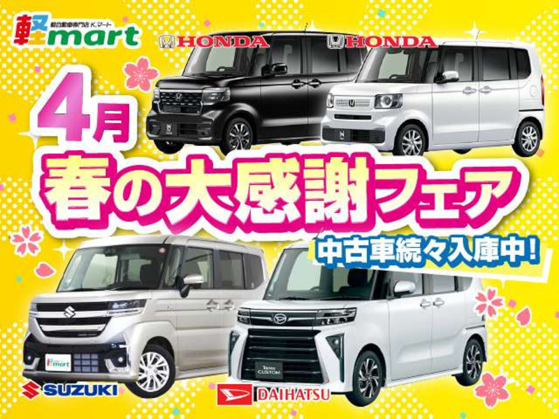 MINICAB VAN