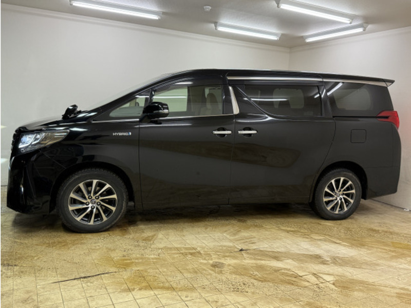 ALPHARD-13
