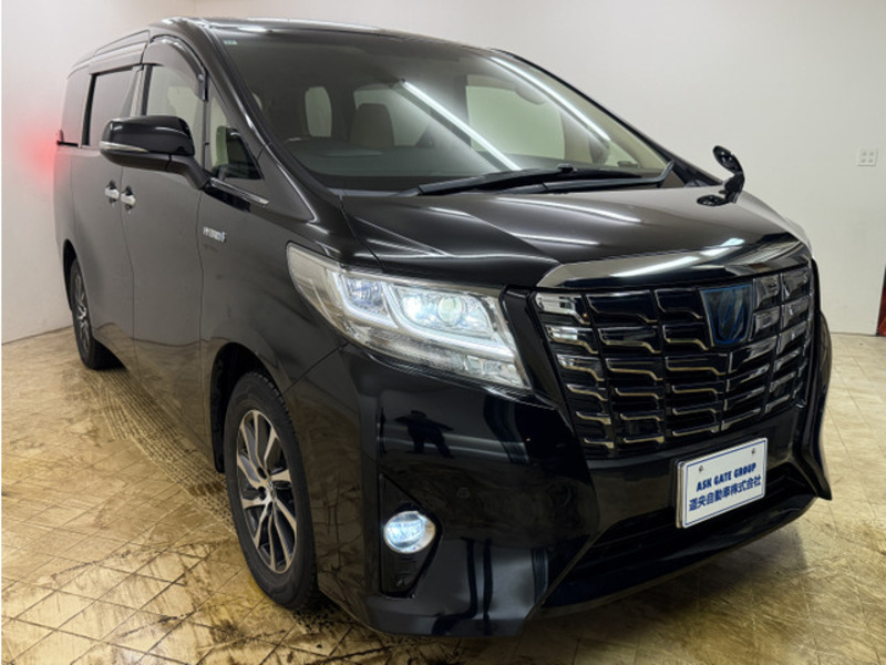 ALPHARD-10