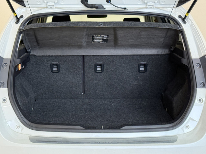 AURIS-18
