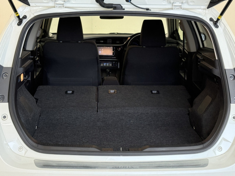 AURIS-19