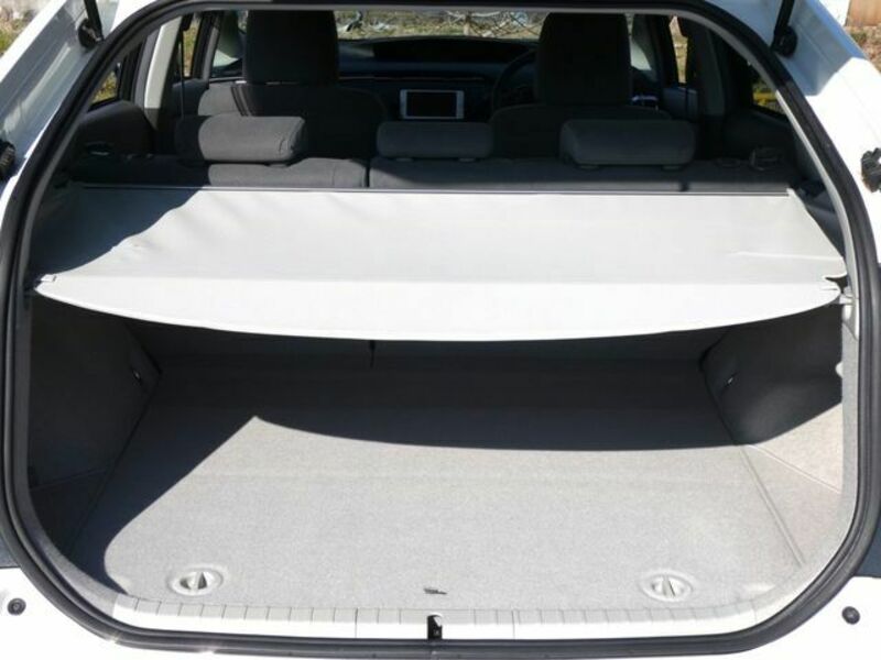 PRIUS-21