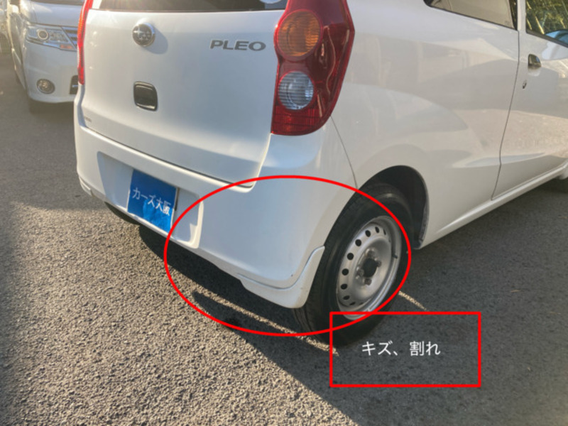 PLEO-10