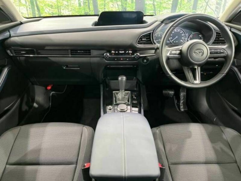 CX-30-1