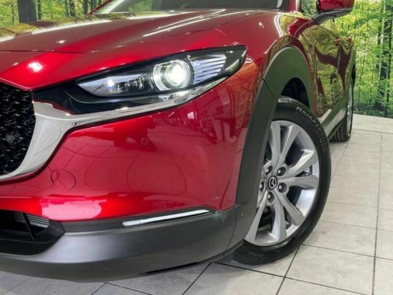 CX-30-12