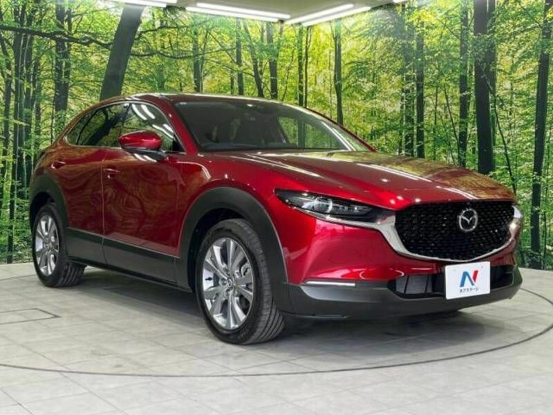 CX-30-16
