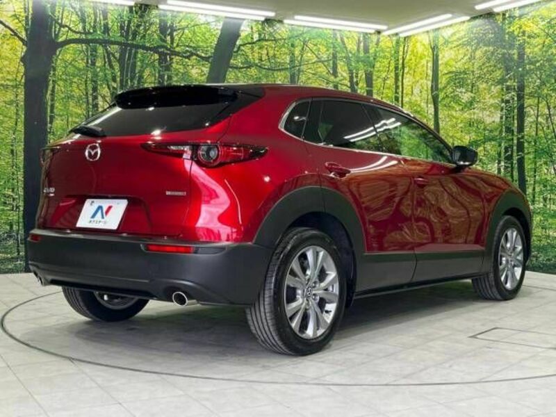 CX-30-17