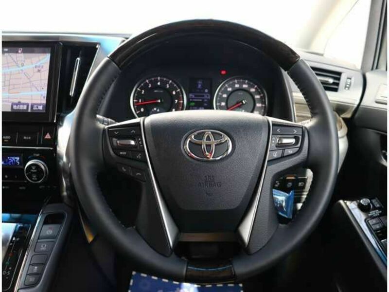 ALPHARD-13