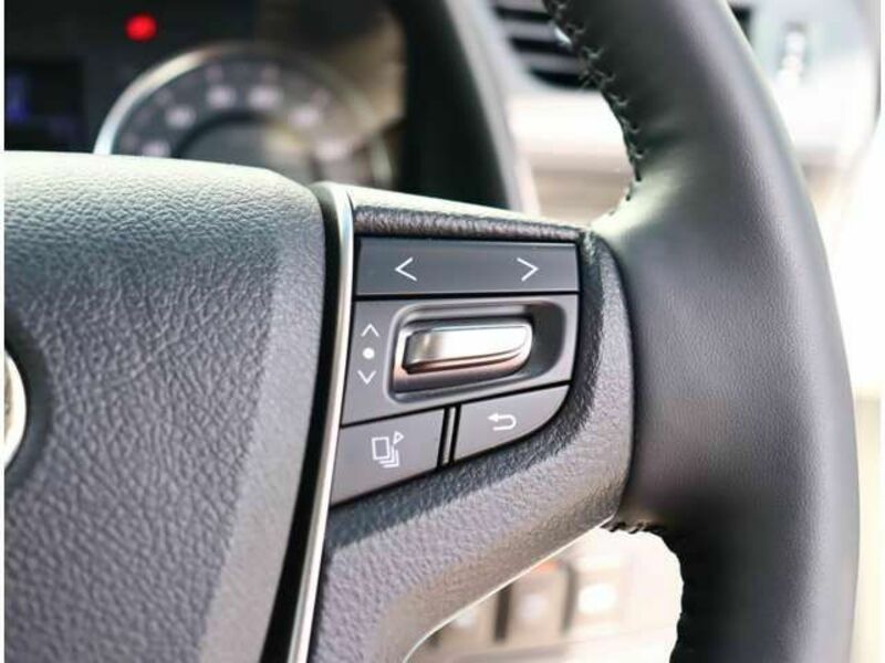 ALPHARD-15