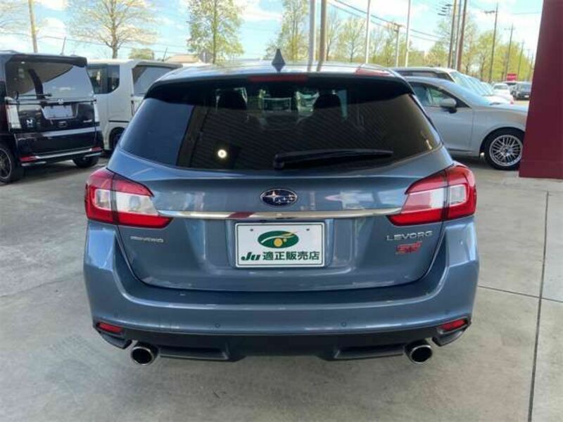 LEVORG-12