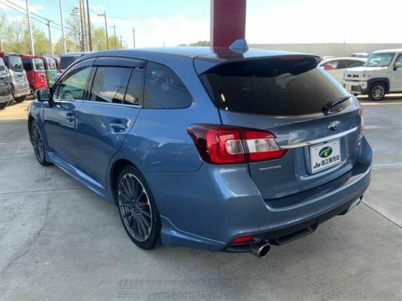 LEVORG-13