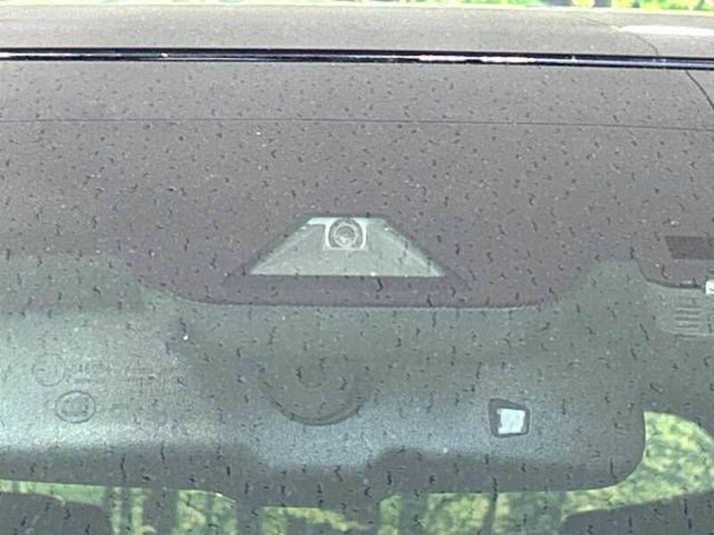 ALPHARD-6