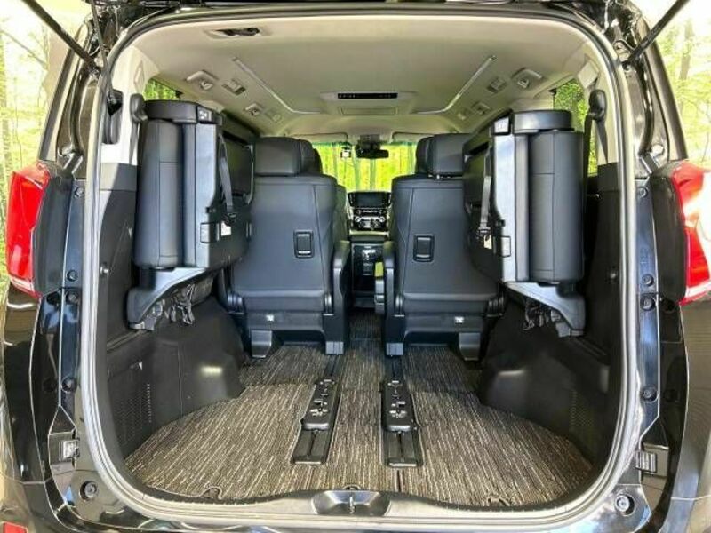 ALPHARD-10