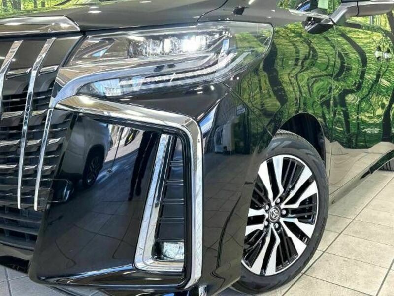 ALPHARD-12