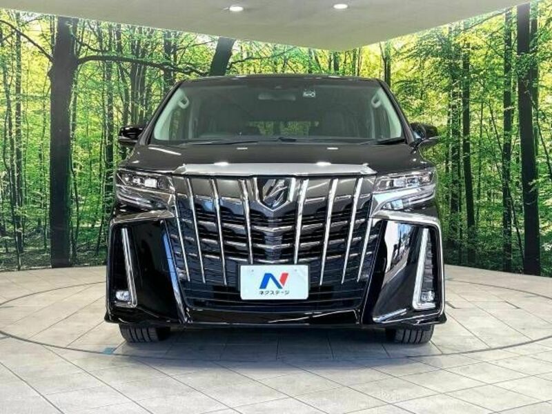 ALPHARD-14