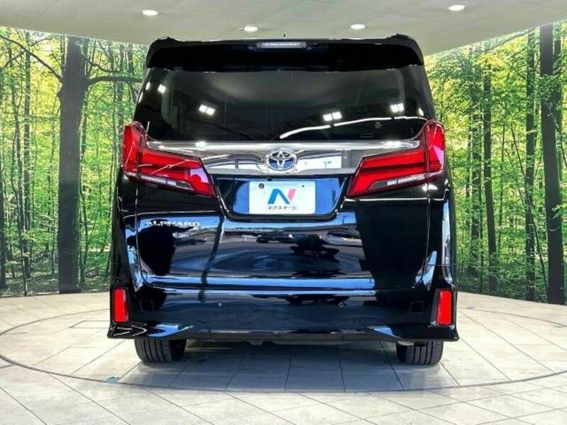 ALPHARD-15