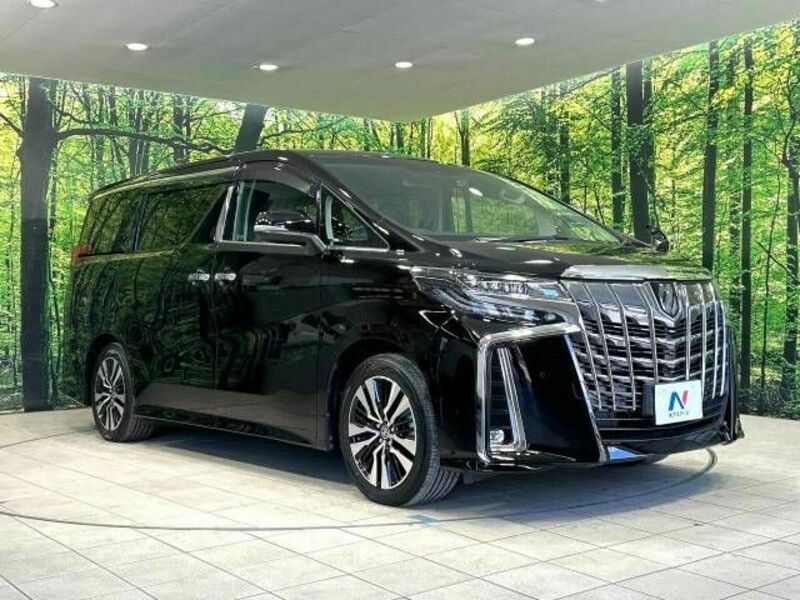 ALPHARD-16