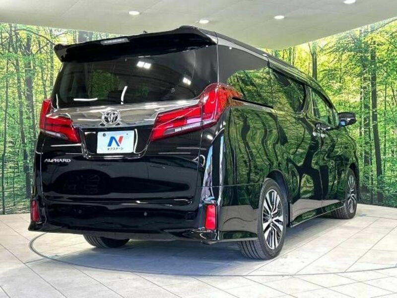 ALPHARD-17
