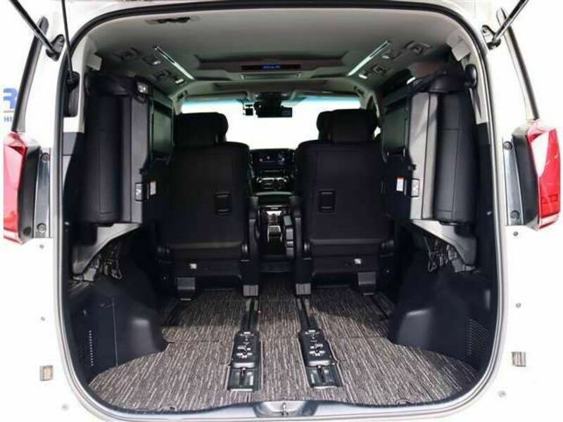 ALPHARD-10