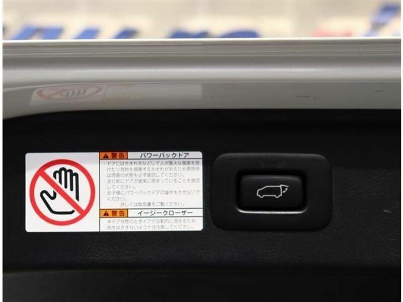 ALPHARD-11