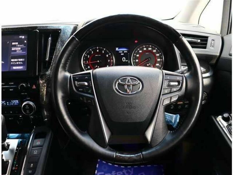 ALPHARD-16
