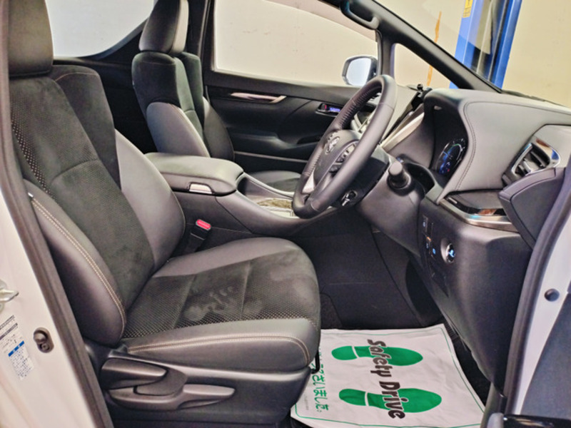 ALPHARD-10