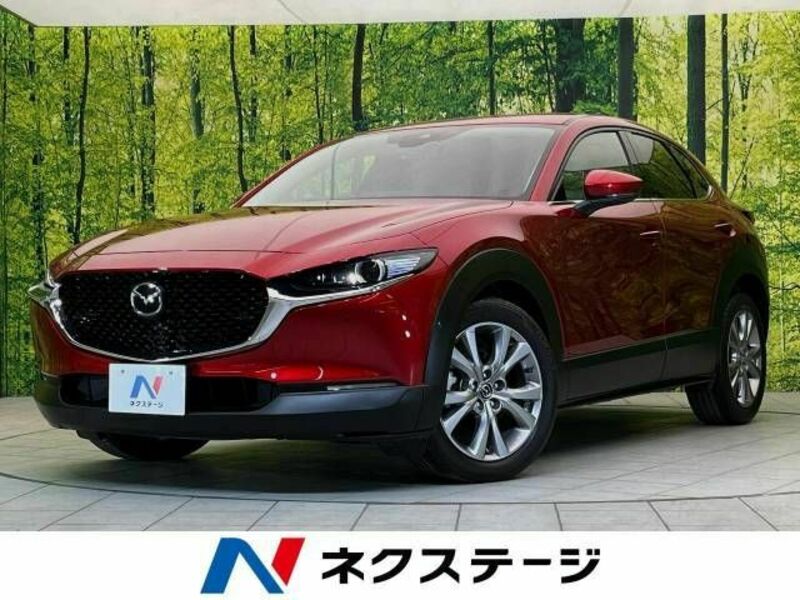 CX-30