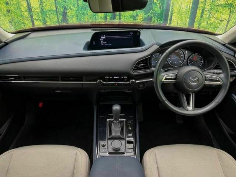 CX-30-1