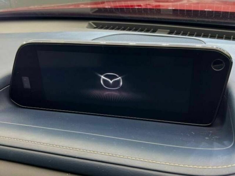 CX-30-3