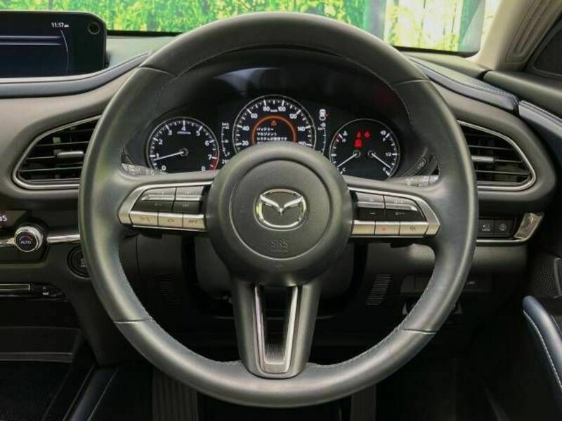 CX-30-10