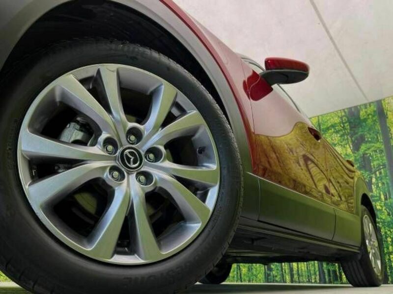 CX-30-12
