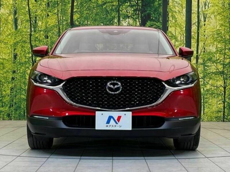 CX-30-13