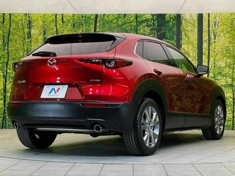 CX-30-16
