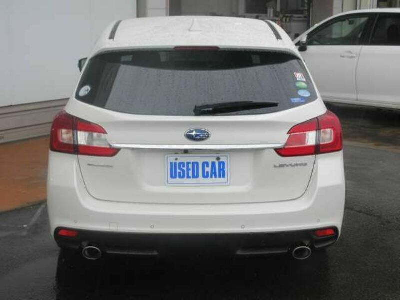 LEVORG-3