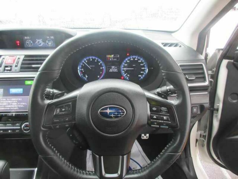 LEVORG-7