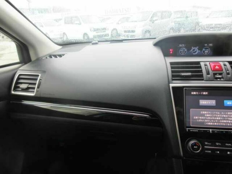 LEVORG-12