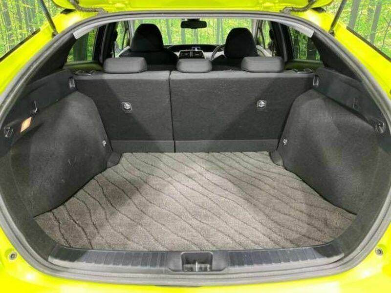 PRIUS-9