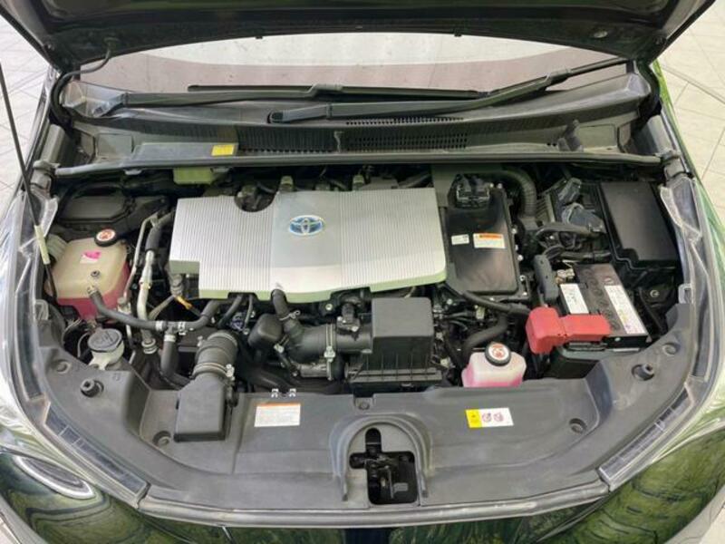 PRIUS-17