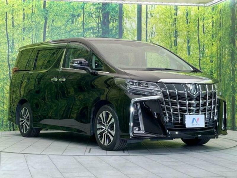 ALPHARD-16