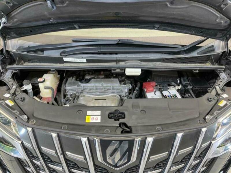 ALPHARD-18