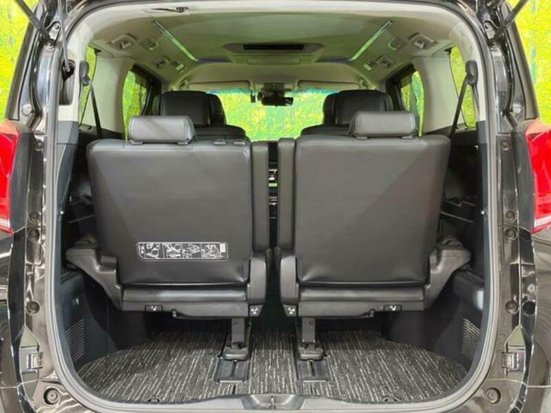 ALPHARD-10