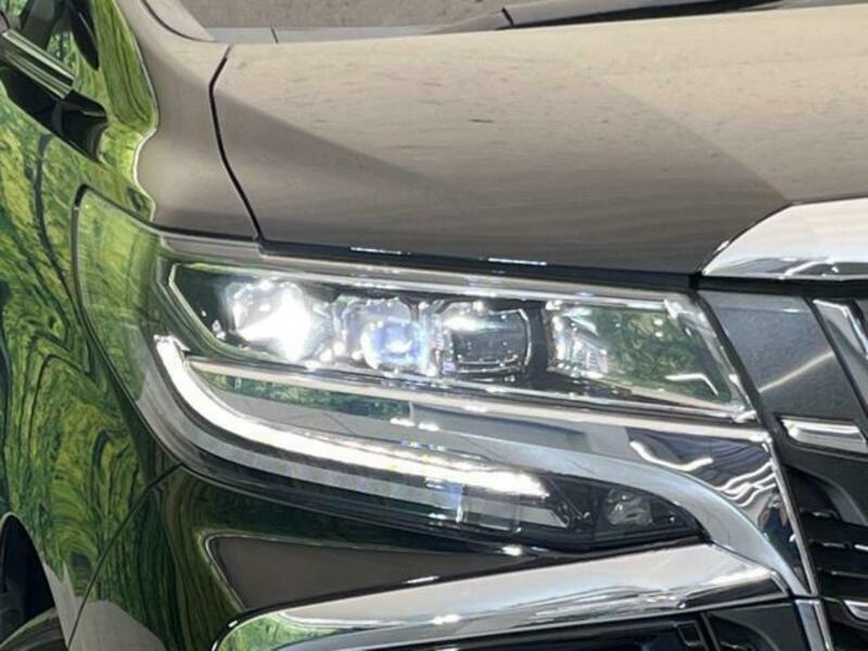 ALPHARD-12